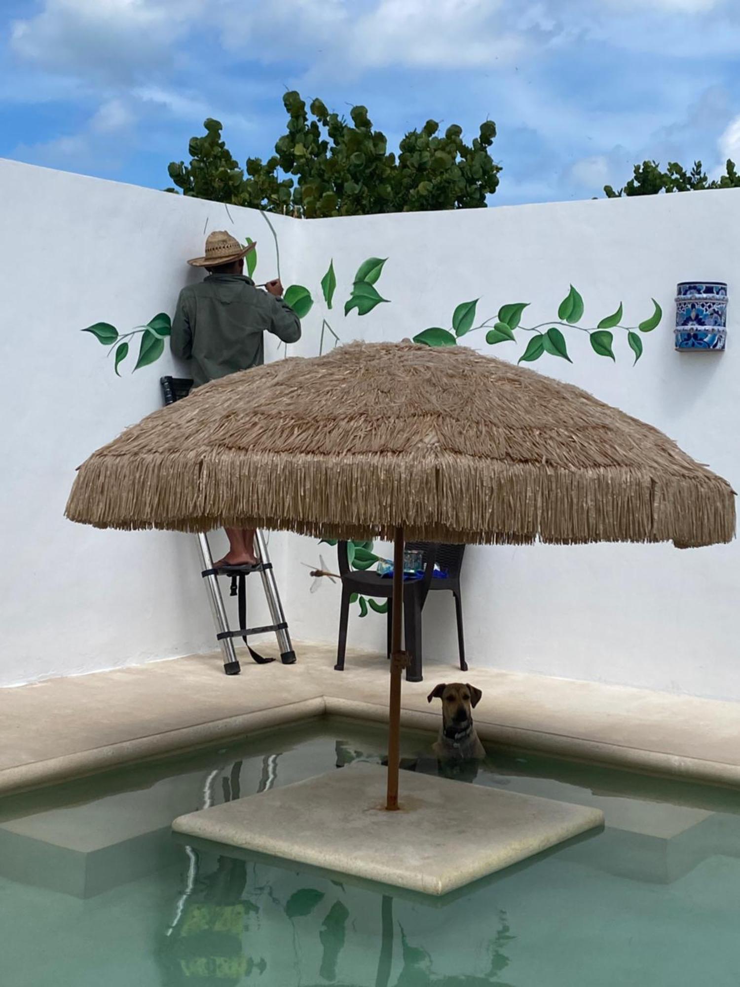 Apartamento Casa Loto B Chelem Exterior foto