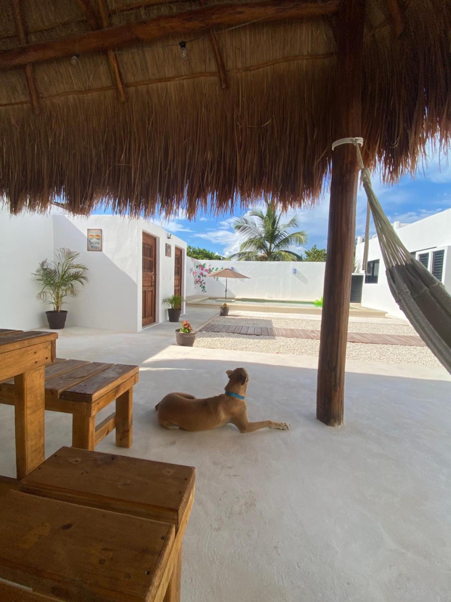 Apartamento Casa Loto B Chelem Exterior foto
